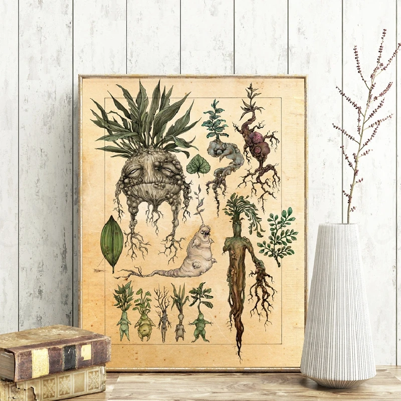Art Illustration Cute Mandrake Plant Decor Painting Wall Picture Classic Movie Poster Kids Room Kraft paper poster 
Art Illustration Cute Mandrake Plant Decor Painting Wall Picture Classic Movie Poster Kids Room Kraft paper poster