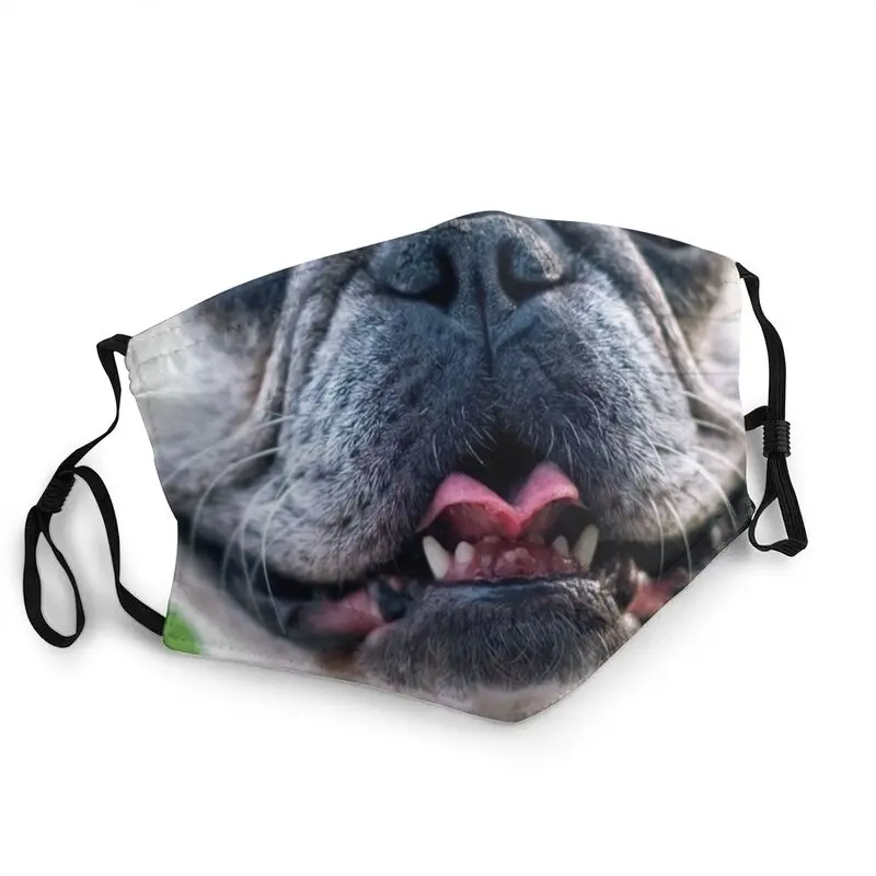 Bulldog Washable Mouth Face Mask Adult Dog Meme Anti Dust Haze Mask Protection Cover Respirator Muffle
Bulldog Washable Mouth Face Mask Adult Dog Meme Anti Dust Haze Mask Protection Cover Respirator Muffle