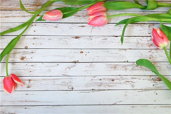 SHENGYONGBAO Vinyl Custom Photography Backdrops Props Flower and Wood planks theme Photo Studio Background 20027-10 
SHENGYONGBAO Vinyl Custom Photography Backdrops Props Flower and Wood planks theme Photo Studio Background 20027-10