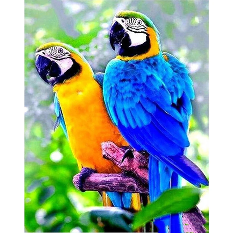5D Diy Diamond Painting Cross Ctitch Kits Diamond Mosaic Embroidery Landscape animals 3d Painting round drill gift
5D Diy Diamond Painting Cross Ctitch Kits Diamond Mosaic Embroidery Landscape animals 3d Painting round drill gift