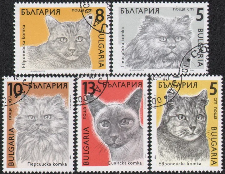 5 шт./компл. штампы почты Болгарии 1989 почтовые штампы для коллекционирования домашних питомцев с маркировкой почты
5 шт./компл. штампы почты Болгарии 1989 почтовые штампы для коллекционирования домашних питомцев с маркировкой почты