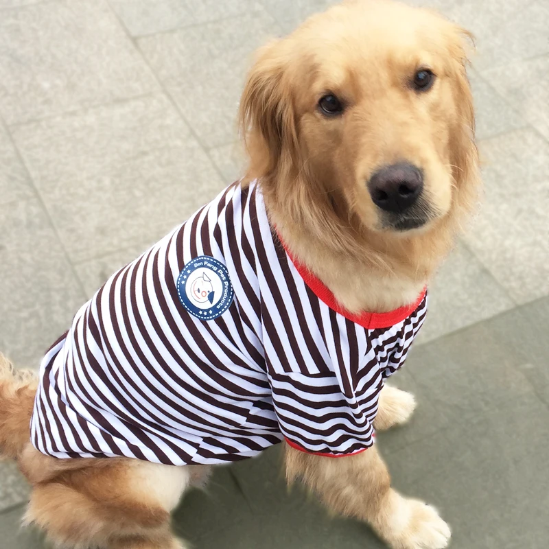 Футболка для собаки, пижама, одежда для собаки на весну и лето, самоид, золотистый ретривер, одежда для больших питомцев, костюм для больших с... 
Футболка для собаки, пижама, одежда для собаки на весну и лето, самоид, золотистый ретривер, одежда для больших питомцев, костюм для больших с...