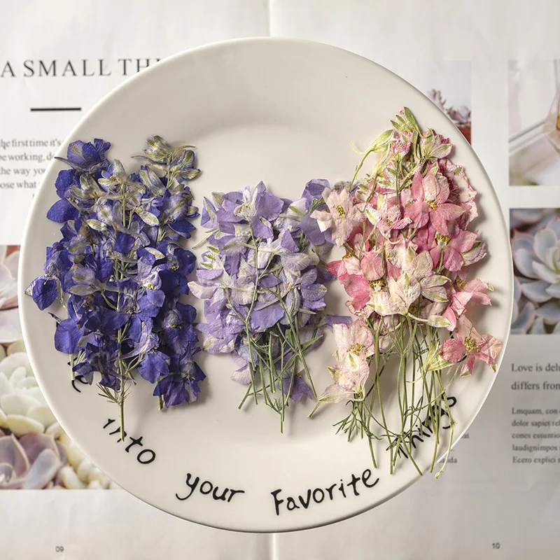 12pcs/pack Natural Delphinium Flower With Branche Petal Makeup Bookmark Early Childhood Teaching Embossed Silk Fan Decoration
12pcs/pack Natural Delphinium Flower With Branche Petal Makeup Bookmark Early Childhood Teaching Embossed Silk Fan Decoration