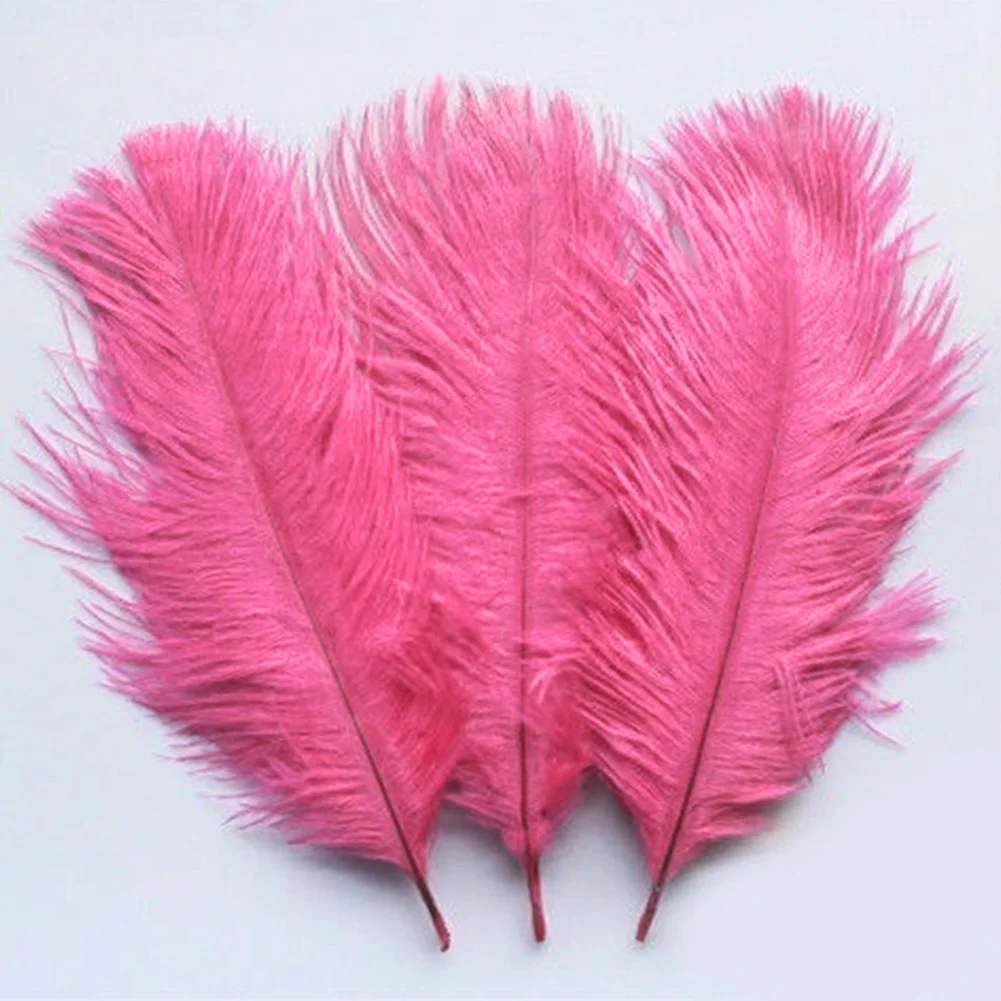 10pcs Home Decor Party Gift Plumage Center Pieces Accessories Wedding DIY Jewelry Craft Fluffy Artificial Ostrich Feather
10pcs Home Decor Party Gift Plumage Center Pieces Accessories Wedding DIY Jewelry Craft Fluffy Artificial Ostrich Feather