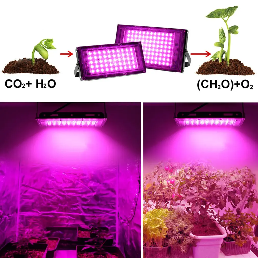 Full Spectrum LED Grow Light With Stand AC220V Phyto Lamp With On/Off Switch For Greenhouse Hydroponic Plant Growth Lighting
Full Spectrum LED Grow Light With Stand AC220V Phyto Lamp With On/Off Switch For Greenhouse Hydroponic Plant Growth Lighting