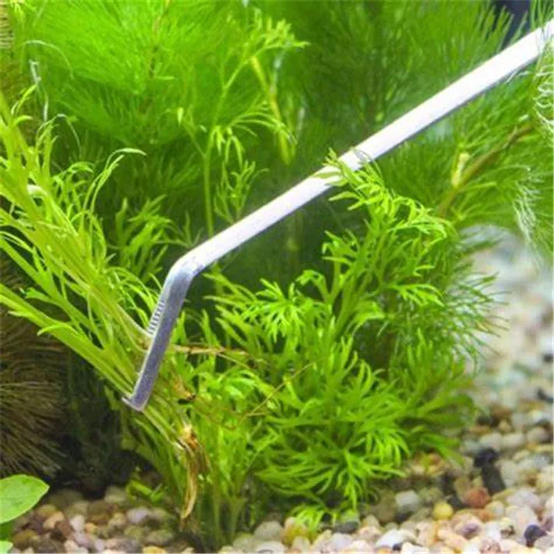 Stainless Steel Curved Aquarium Tweezers Aquarium Plant Shrimp Reef Tweezer Fish Tank Cleaner Aquarium Accessories Hot Sale
Stainless Steel Curved Aquarium Tweezers Aquarium Plant Shrimp Reef Tweezer Fish Tank Cleaner Aquarium Accessories Hot Sale