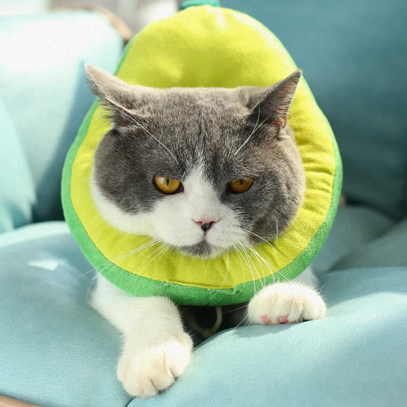 New Adjustable Pet Collar Toast Bread Avocado Collar Pet Anti-licking Collar Anti-scratching Dog Collar Accessories Pet Supplies
New Adjustable Pet Collar Toast Bread Avocado Collar Pet Anti-licking Collar Anti-scratching Dog Collar Accessories Pet Supplies