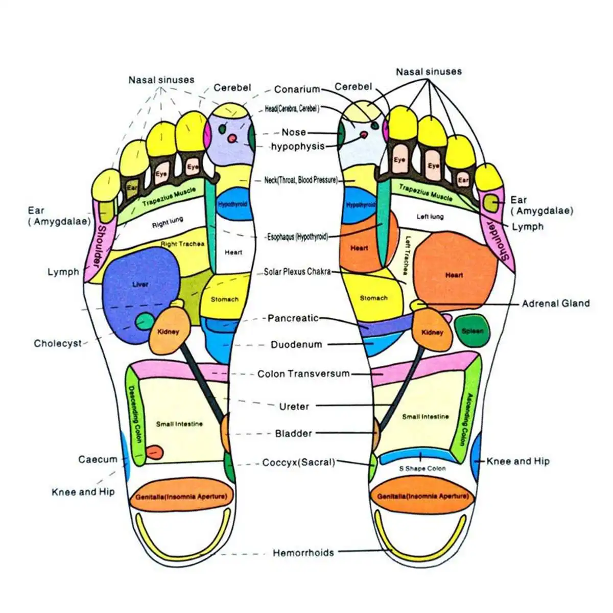 220V Infrared Reflexology Foot Massager Electric Machine Automatic Massage Foot Care Massager Circulation Therapy Heater SPA
220V Infrared Reflexology Foot Massager Electric Machine Automatic Massage Foot Care Massager Circulation Therapy Heater SPA