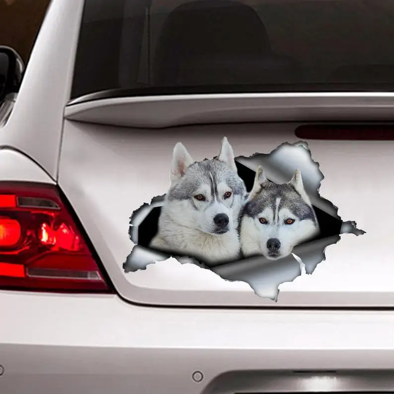 Siberian Husky sticker , car decoration, car sticker , Vinyl decal, siberian husky decal
Siberian Husky sticker , car decoration, car sticker , Vinyl decal, siberian husky decal