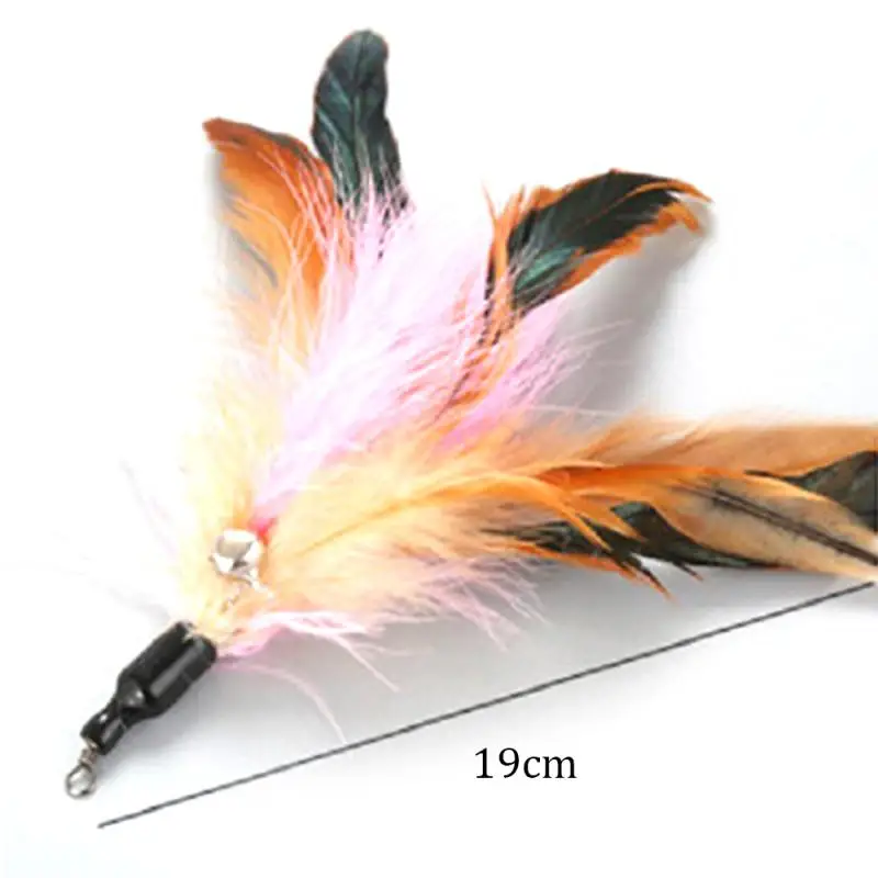 Colorful Interactive Funny Cat Stick Replacement Head Feather Replacement Head Cat Play Training Toy Accessories Cat Supplies
Colorful Interactive Funny Cat Stick Replacement Head Feather Replacement Head Cat Play Training Toy Accessories Cat Supplies