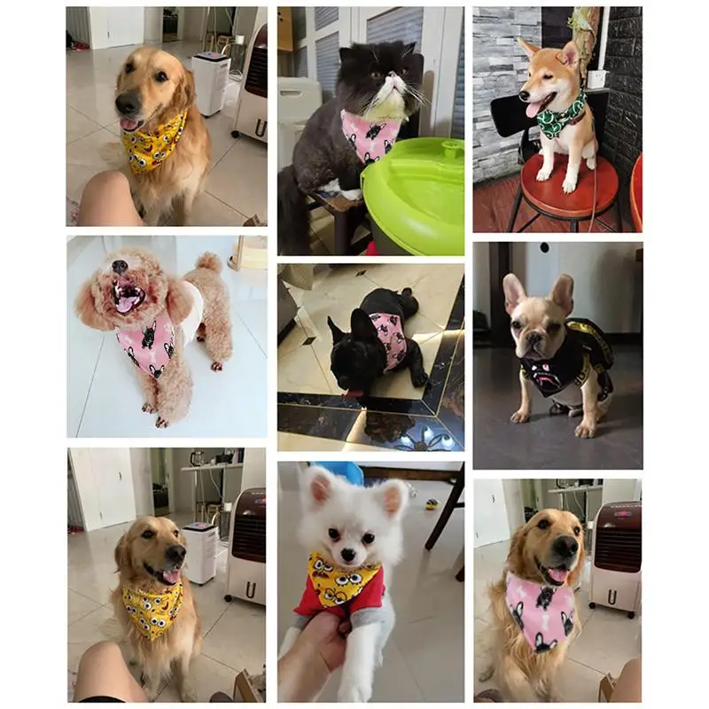 Pet Products
Pet Products