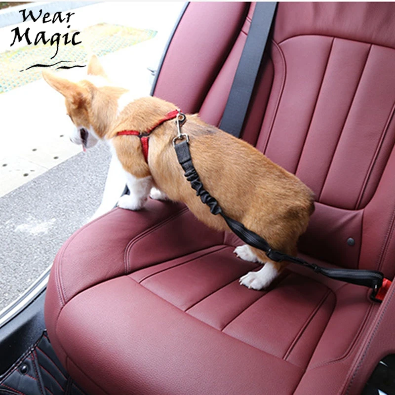 For Dog Car seat belt safety pet car fixed rope adjustable small large dog by car Pet Supplies
For Dog Car seat belt safety pet car fixed rope adjustable small large dog by car Pet Supplies