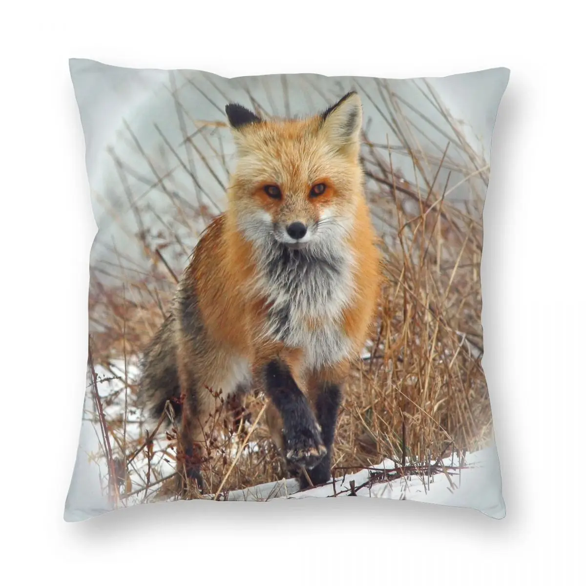 Red Fox Pillowcase Polyester Linen Velvet Creative Zip Decorative Pillow Case Sofa Cushion Cover
Red Fox Pillowcase Polyester Linen Velvet Creative Zip Decorative Pillow Case Sofa Cushion Cover