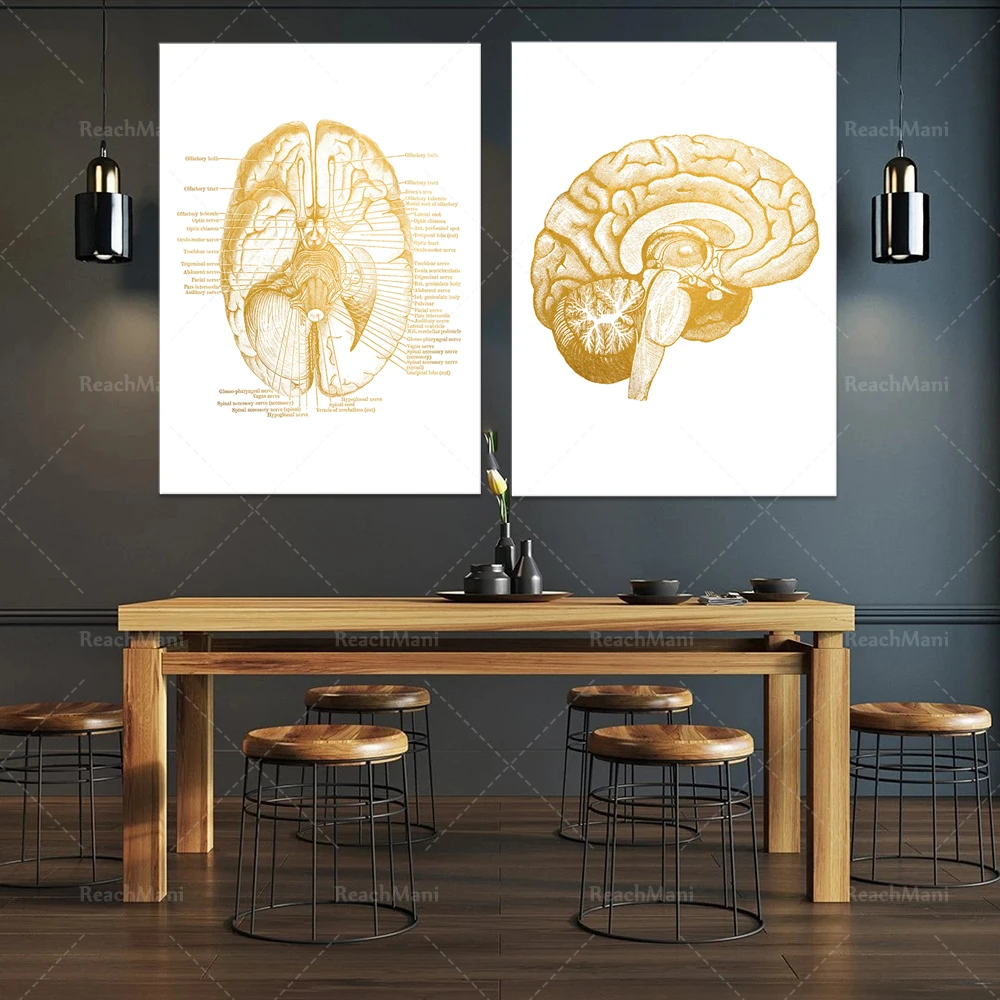 Brain Anatomy Neuroscience Art Print Set 2-Gifts for Medical Students-Office Decoration for Doctors-Anatomy Posters-Posters for
Brain Anatomy Neuroscience Art Print Set 2-Gifts for Medical Students-Office Decoration for Doctors-Anatomy Posters-Posters for