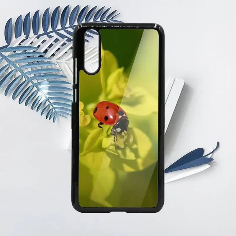 Four leaf clover ladybug cute animal Phone Case PC For Samsung galaxy S note 8 9 20 10 e lite2019 plus pro ultra
Four leaf clover ladybug cute animal Phone Case PC For Samsung galaxy S note 8 9 20 10 e lite2019 plus pro ultra