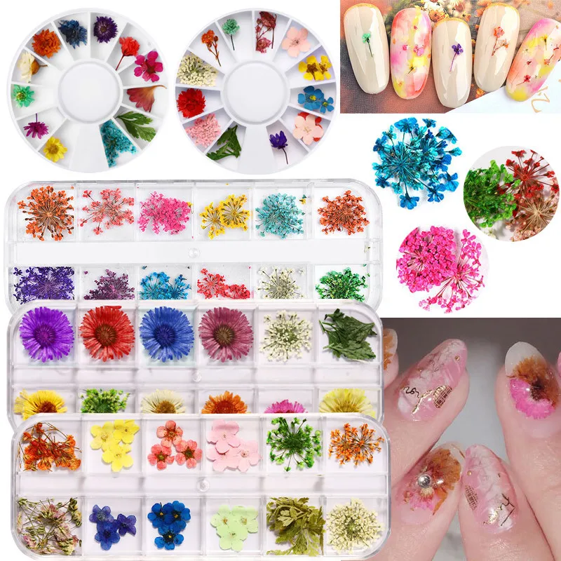 12 Colors Mix Dried Flowers Nail Decorations Jewelry Natural Floral Leaf Stickers Nail Art Designs Polish Manicure Accessories
12 Colors Mix Dried Flowers Nail Decorations Jewelry Natural Floral Leaf Stickers Nail Art Designs Polish Manicure Accessories