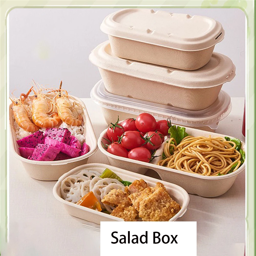 

Light Food Lunch Box Biodegradable Lunchbox Microwave Disposable Food Container Vegetable Salad Takeaway Cake Packing Box