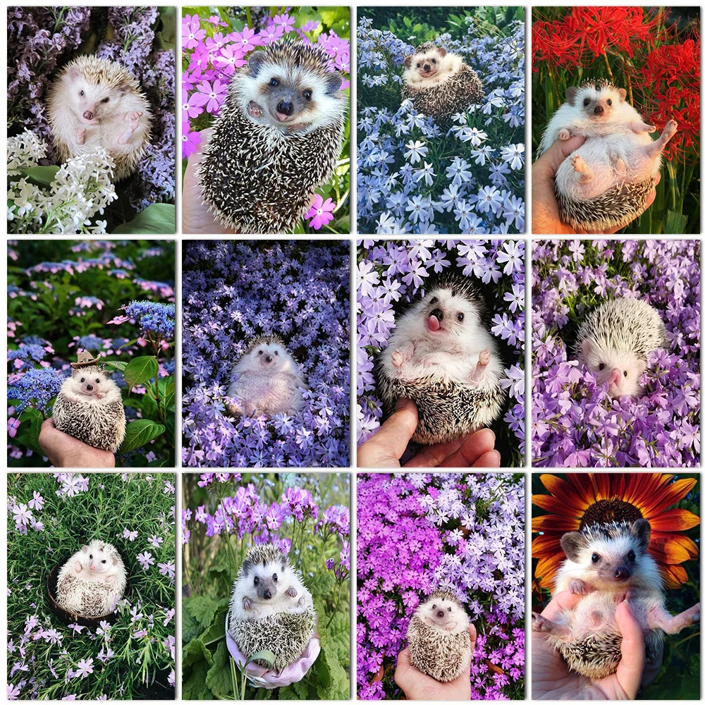 5D Diy Diamond Painting Animal Hedgehog 3D Diamond Embroidery Flower Cross Stitch Resin Rhinestone Diamond Mosaic Art Home Decor
5D Diy Diamond Painting Animal Hedgehog 3D Diamond Embroidery Flower Cross Stitch Resin Rhinestone Diamond Mosaic Art Home Decor