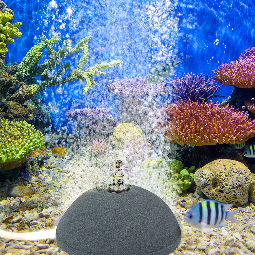6/8/10/12cm Fish Tank Bubble Air Stone Aerator Fish Tank Pond Pump Aquarium Sintering Pond Pump Tank Ceramic Bubble Diffuser
6/8/10/12cm Fish Tank Bubble Air Stone Aerator Fish Tank Pond Pump Aquarium Sintering Pond Pump Tank Ceramic Bubble Diffuser
