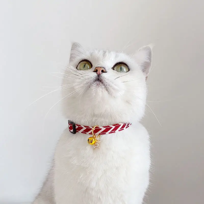 Five-pointed star cute cat collar with bells adjustable puppy necklace bow tie avocado pendant safety pet kitten rabbit collar
Five-pointed star cute cat collar with bells adjustable puppy necklace bow tie avocado pendant safety pet kitten rabbit collar