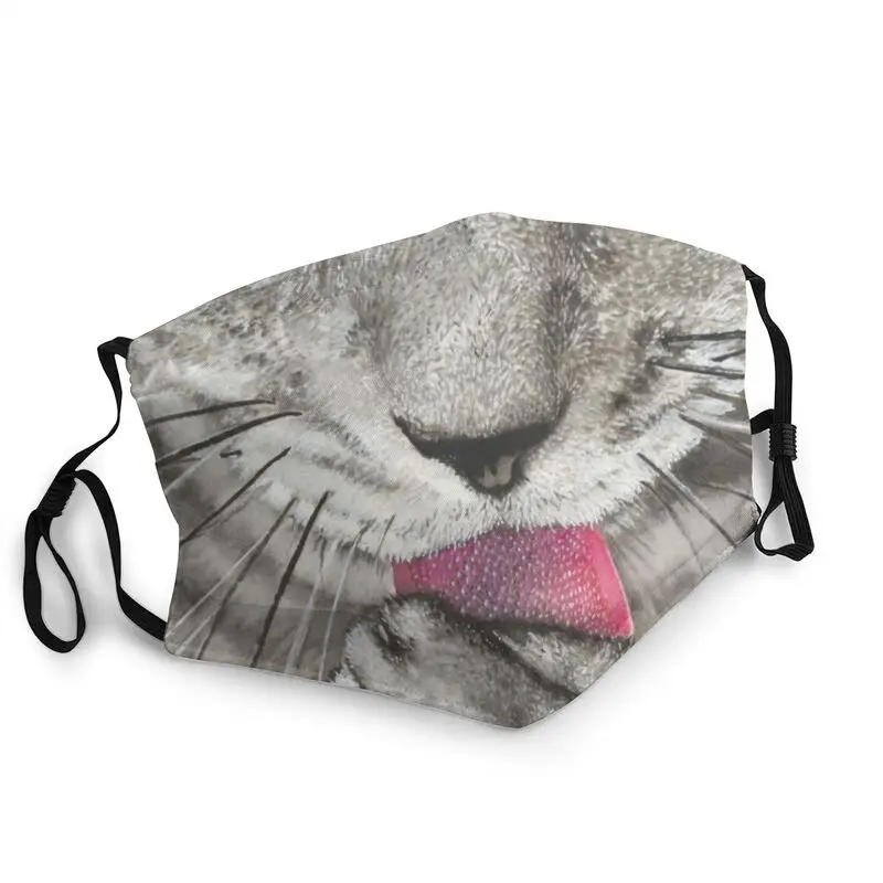 Silver Tabby Cat Adjustable Face Mask Men Women Kitten Anti Haze Dustproof Protection Cover Respirator Mouth-Muffle
Silver Tabby Cat Adjustable Face Mask Men Women Kitten Anti Haze Dustproof Protection Cover Respirator Mouth-Muffle