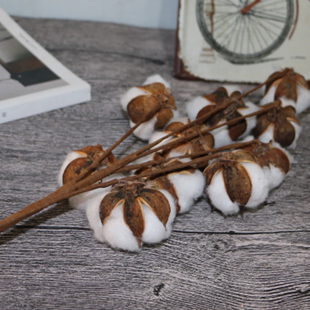 1Pcs Dried Flowers 10 Head 52cm Cotton Stem Floral Branches Artificial Floral Decoration
1Pcs Dried Flowers 10 Head 52cm Cotton Stem Floral Branches Artificial Floral Decoration