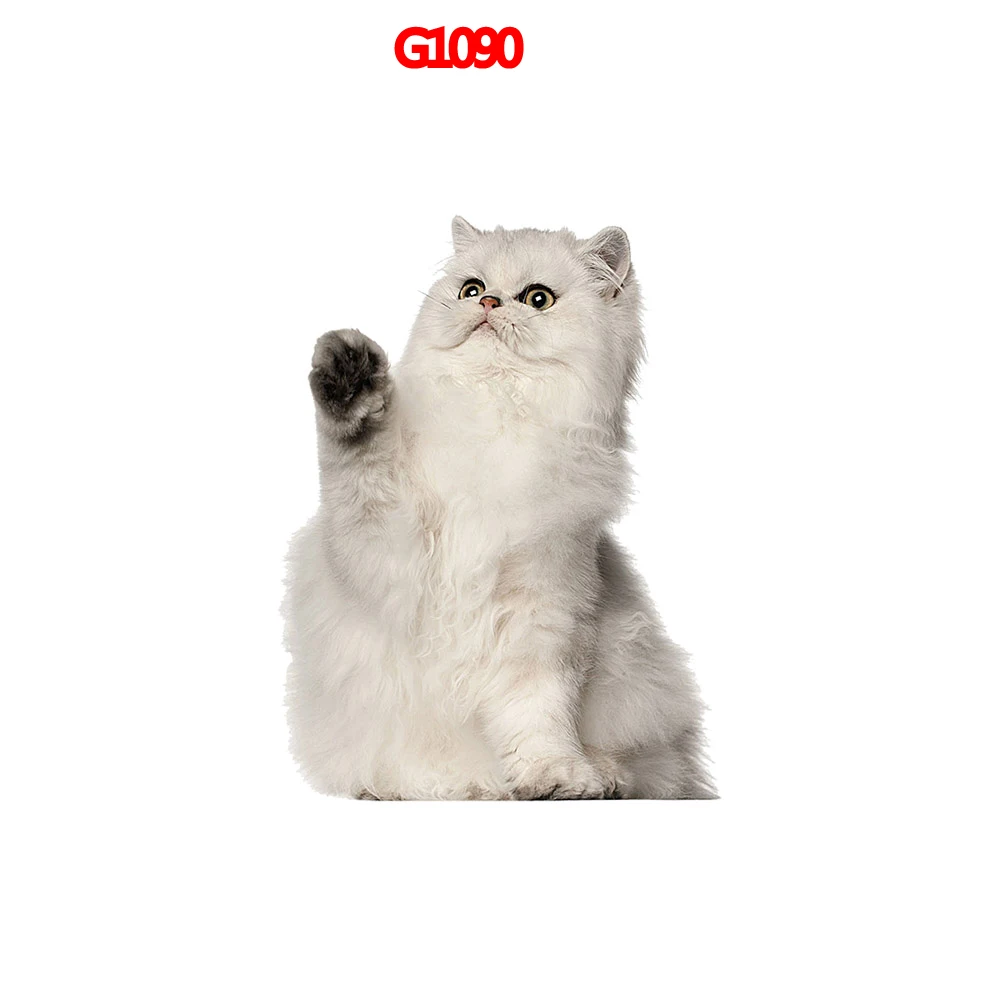 Автомобильные наклейки "сделай сам", кошка, забавные красочные автомобильные наклейки, автомобильные наклейки
Автомобильные наклейки "сделай сам", кошка, забавные красочные автомобильные наклейки, автомобильные наклейки