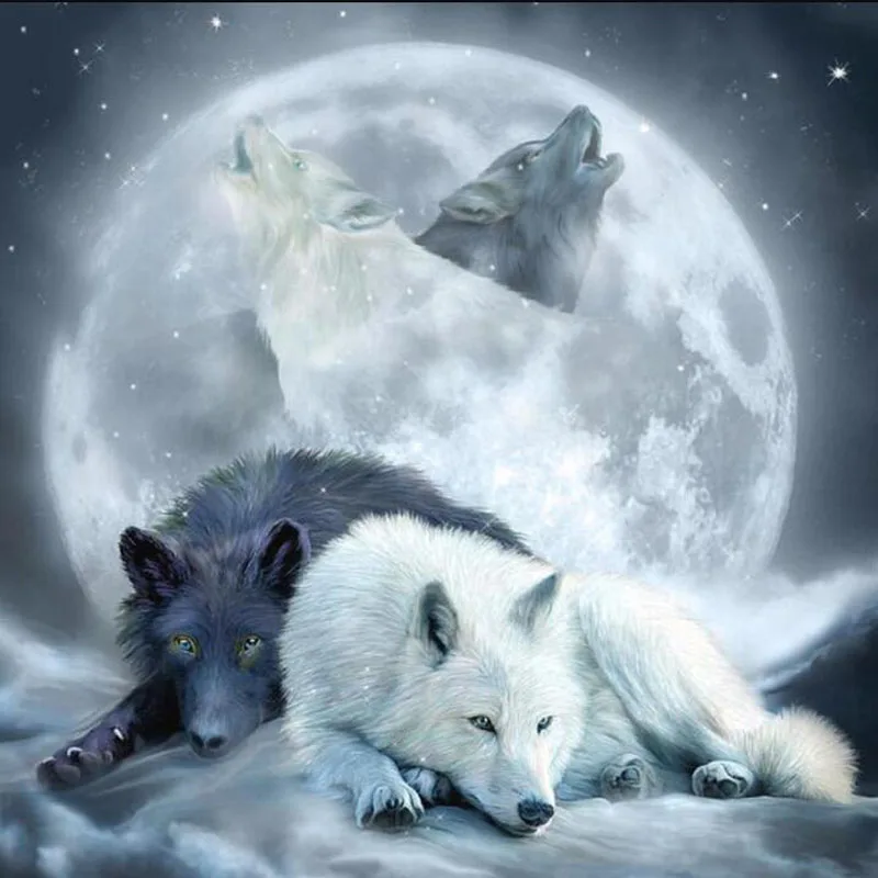 Full Square/Round Drill 5D DIY Diamond Painting Yin Yang Wolf & Full Moon" Embroidery Cross Stitch Mosaic Rhinestone Decor
Full Square/Round Drill 5D DIY Diamond Painting Yin Yang Wolf & Full Moon" Embroidery Cross Stitch Mosaic Rhinestone Decor