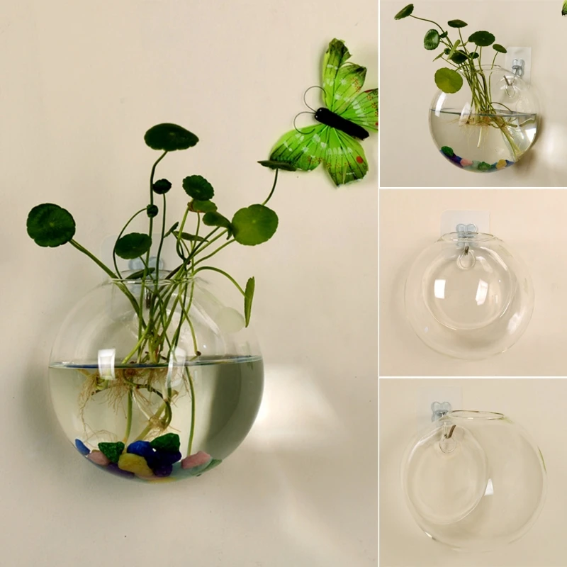 Glass Vase Wall Hanging Hydroponic Terrarium Fish Tanks Potted Plant Flower pot
Glass Vase Wall Hanging Hydroponic Terrarium Fish Tanks Potted Plant Flower pot