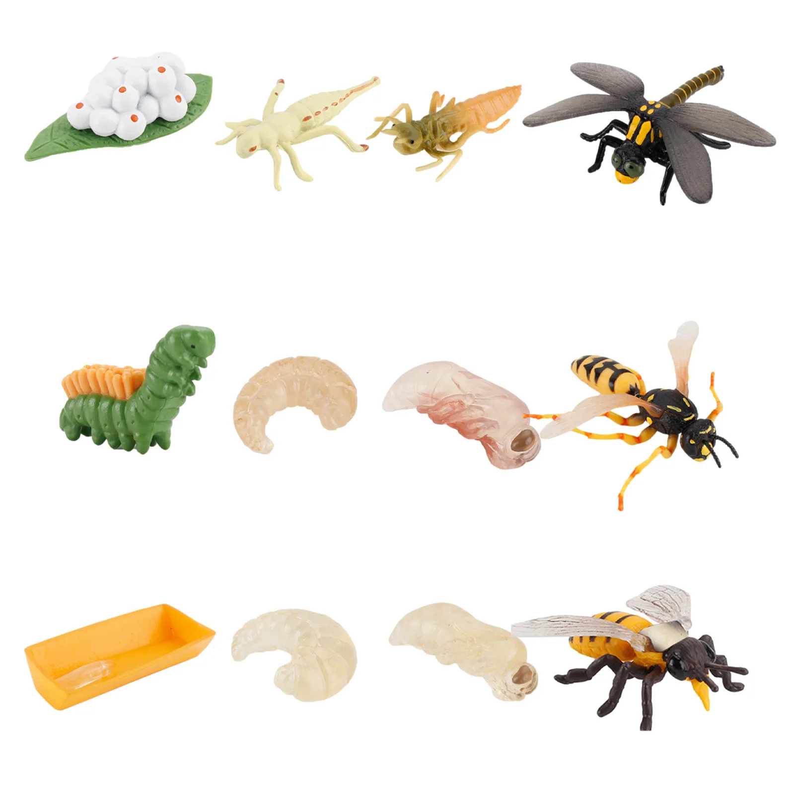 

12pcs Children's Cognitive Bugs Toy Model Ornaments Dragoy Wasp Growth Cycle Simulation Bee Insect Life Stage Figure Model