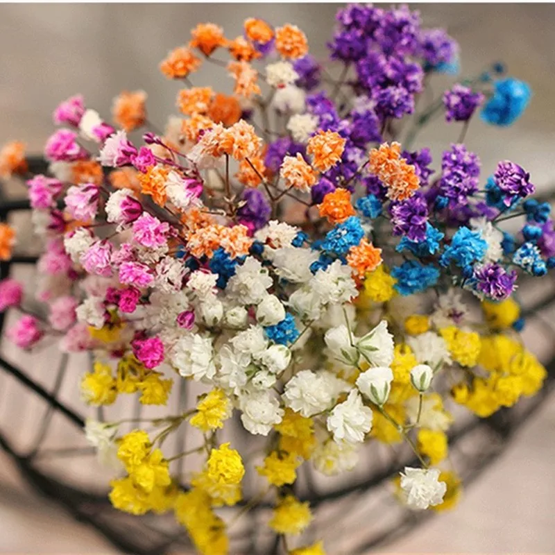 Christmas Decoration Preserved Flowers Dried Decorative Bouquet Branch DIY Dry Floral Scrapbooking Gypsophila Party Gifts Decor
Christmas Decoration Preserved Flowers Dried Decorative Bouquet Branch DIY Dry Floral Scrapbooking Gypsophila Party Gifts Decor
