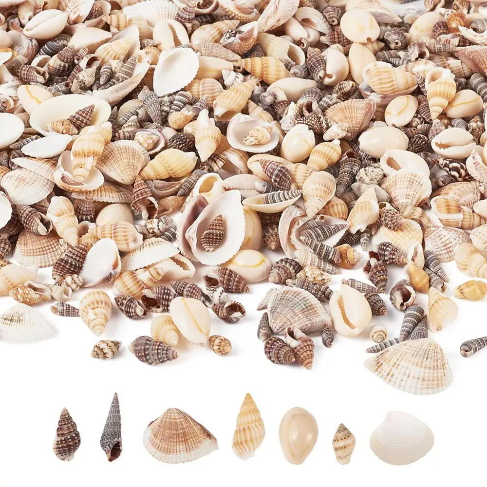 1Box Spiral Shell Beads Sea Beach Cowry Undrilled/No Hole Beads Charms For DIY Earrings Bracelet Necklace Jewelry Accessories
1Box Spiral Shell Beads Sea Beach Cowry Undrilled/No Hole Beads Charms For DIY Earrings Bracelet Necklace Jewelry Accessories