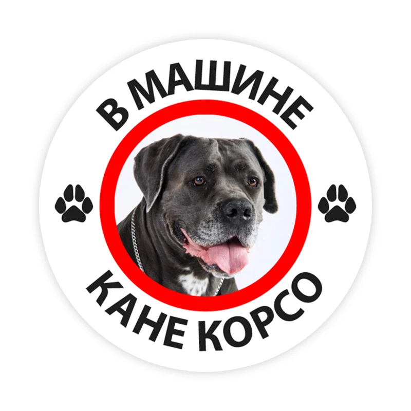B0233# Various Sizes SCane Corso In the Car Self-Adhesive PVC Decal Car Sticker Waterproof Auto Decors on Bumper Rear Window
B0233# Various Sizes SCane Corso In the Car Self-Adhesive PVC Decal Car Sticker Waterproof Auto Decors on Bumper Rear Window