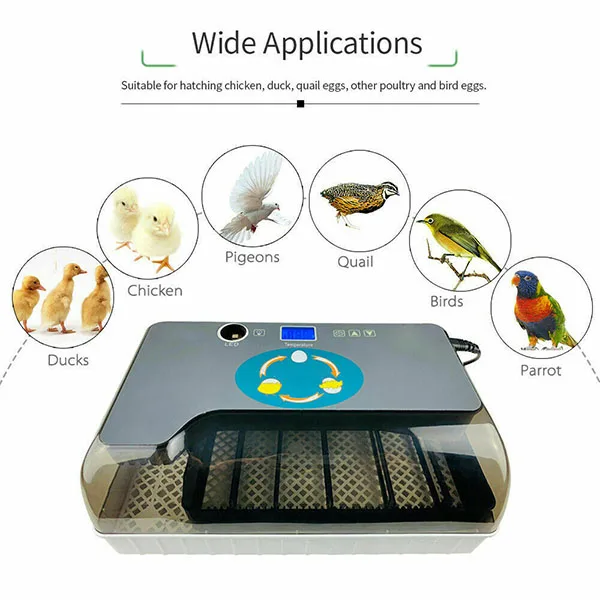 NEW Egg Incubator Digital Fully Automatic 12 Eggs Poultry Hatcher for Chickens Ducks
NEW Egg Incubator Digital Fully Automatic 12 Eggs Poultry Hatcher for Chickens Ducks