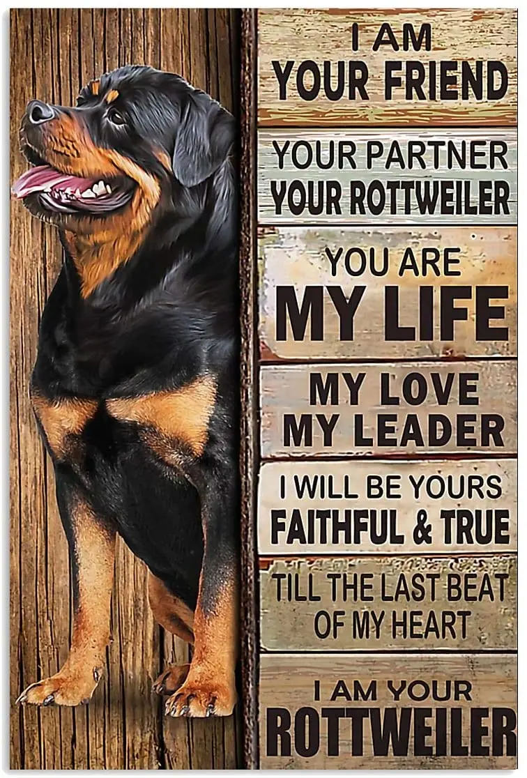 Dachshund Laundry Room Decor Metal Sign Gardening Decoration Metalplate Pet Dog Posters on the Wall Stickers Decoration for Home
Dachshund Laundry Room Decor Metal Sign Gardening Decoration Metalplate Pet Dog Posters on the Wall Stickers Decoration for Home