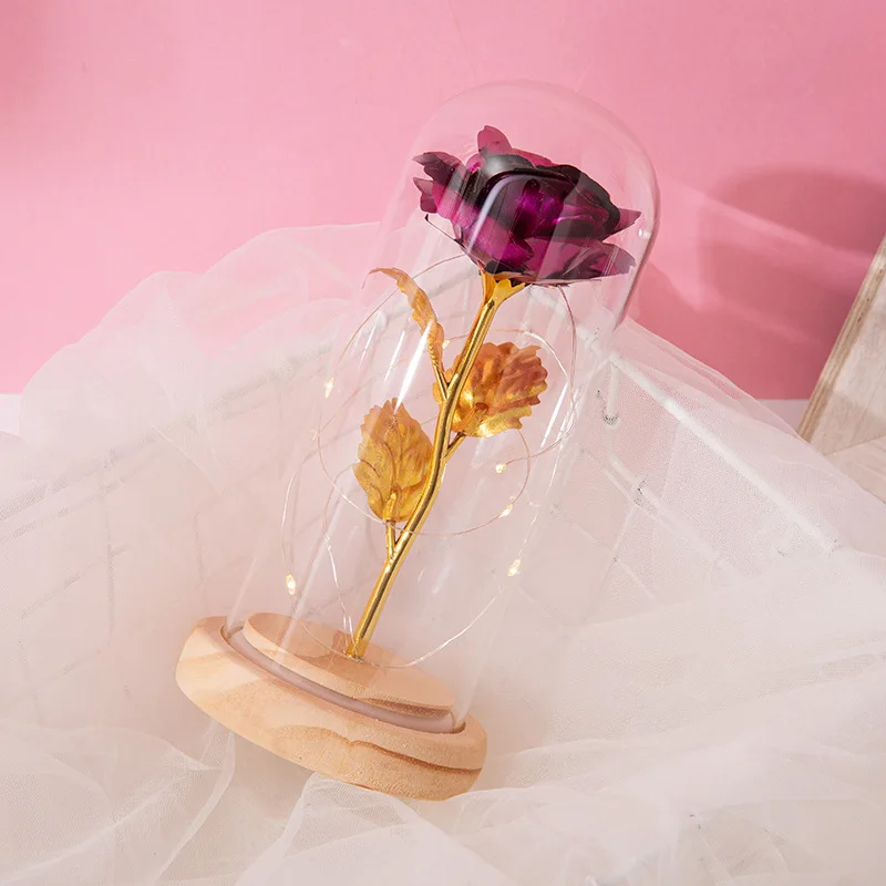 Gold Foil Carnation Lantern Night Light Valentine'S Day Gift Lantern Glass Shade Rose Light LED Rose for Valentine'S Day
Gold Foil Carnation Lantern Night Light Valentine'S Day Gift Lantern Glass Shade Rose Light LED Rose for Valentine'S Day