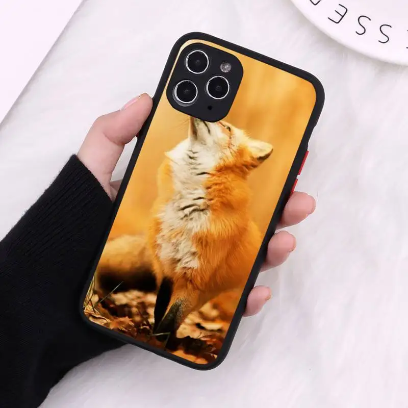 Autumn leaves fall fox pumpkin Halloween Phone Case Matte Transparent for iPhone 7 8 11 12 s mini pro X XS XR MAX Plus cover
Autumn leaves fall fox pumpkin Halloween Phone Case Matte Transparent for iPhone 7 8 11 12 s mini pro X XS XR MAX Plus cover