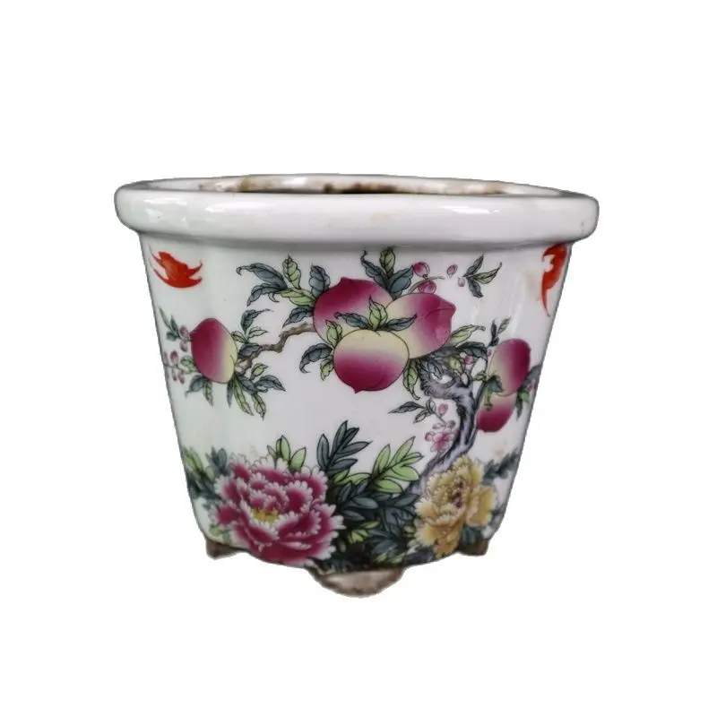 Retro pink longevity pattern plum flowerpot special shaped flowerpot calamus flowerpot fleshy orchid antique flowerpot
Retro pink longevity pattern plum flowerpot special shaped flowerpot calamus flowerpot fleshy orchid antique flowerpot