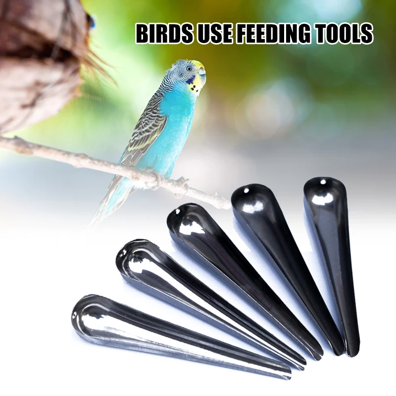 Birds Food Spoon Stainless Steel Suitable for Starlings Mynahs Thrushes Cages PW
Birds Food Spoon Stainless Steel Suitable for Starlings Mynahs Thrushes Cages PW