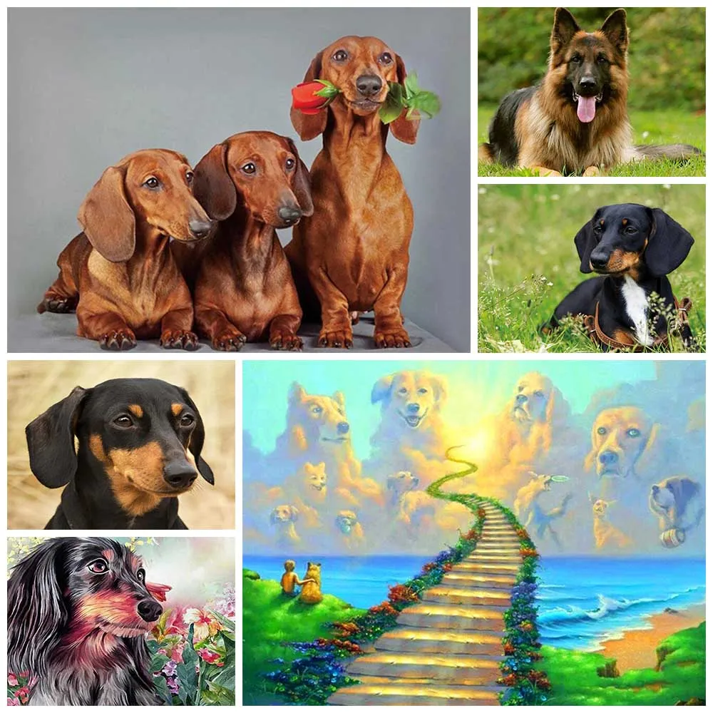 5D Diy Diamond Painting Dog Diamond Embroidery Cute Dachshund Dogs Animal Mosaic Cross Stitch Full Round Drill Home Decor Gifts
5D Diy Diamond Painting Dog Diamond Embroidery Cute Dachshund Dogs Animal Mosaic Cross Stitch Full Round Drill Home Decor Gifts