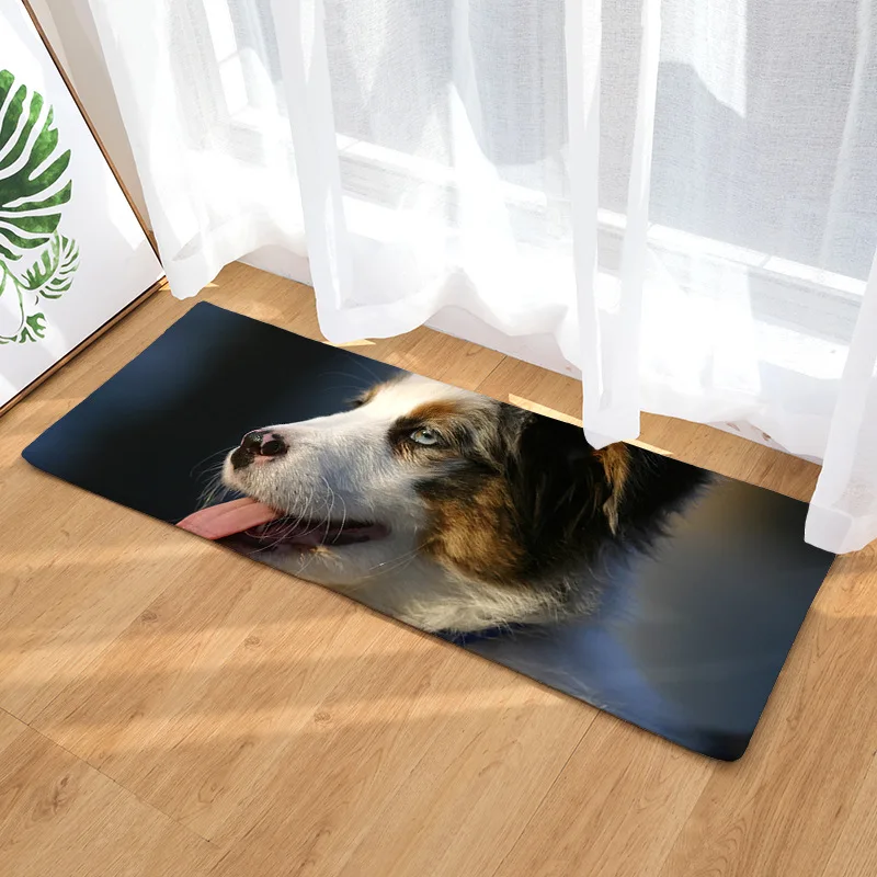 Flannel Long Floor Mat Door Mat Heat Transfer Polar Bear Kitchen Bathroom Water-Absorbing Non-Slip Mat Carpet
Flannel Long Floor Mat Door Mat Heat Transfer Polar Bear Kitchen Bathroom Water-Absorbing Non-Slip Mat Carpet