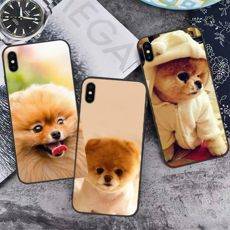 Pomeranian Phone Case for iPhone 11 12 13 pro XS MAX 8 7 6 6S Plus X 5S SE 2020 XR mini
Pomeranian Phone Case for iPhone 11 12 13 pro XS MAX 8 7 6 6S Plus X 5S SE 2020 XR mini