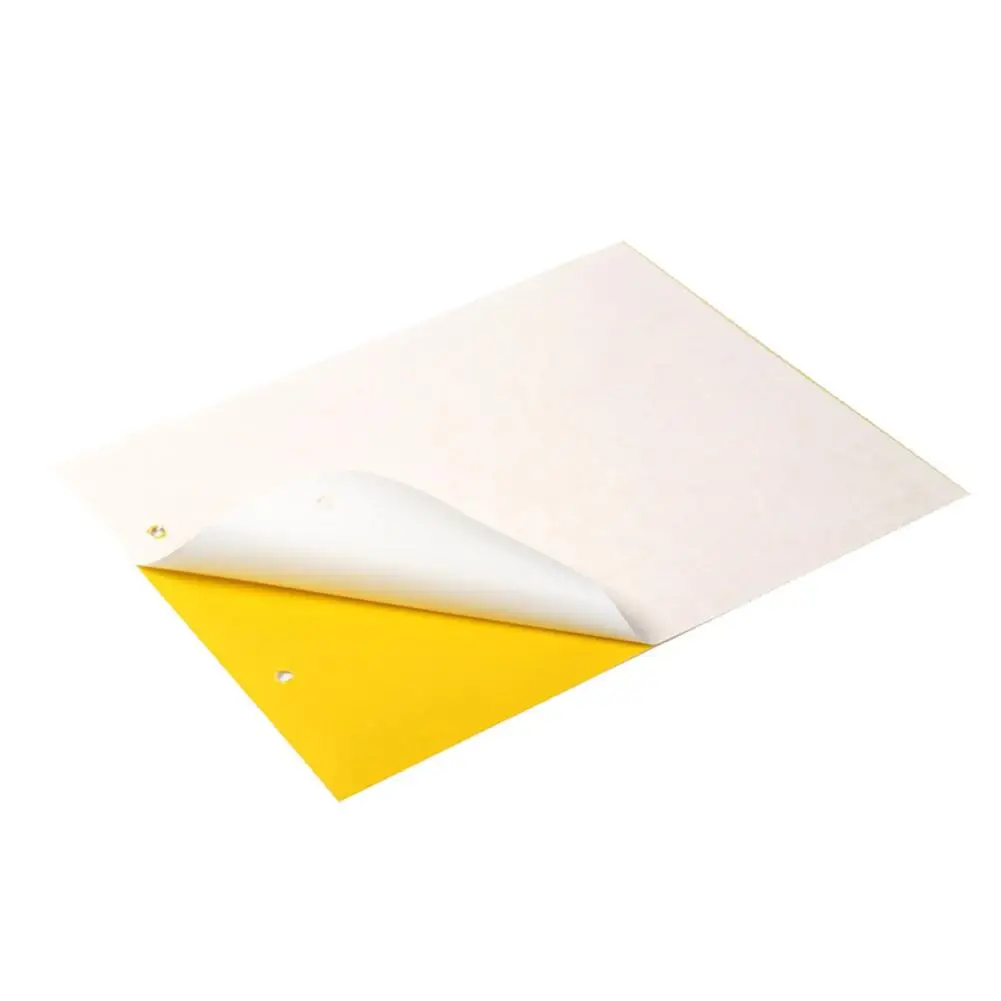 20 Pcs Outdoor Pest Control Glue Paper Strong Flies Traps Bugs Hanging Sticky Board Catcher Aphid Insects Killer Garden Tools
20 Pcs Outdoor Pest Control Glue Paper Strong Flies Traps Bugs Hanging Sticky Board Catcher Aphid Insects Killer Garden Tools