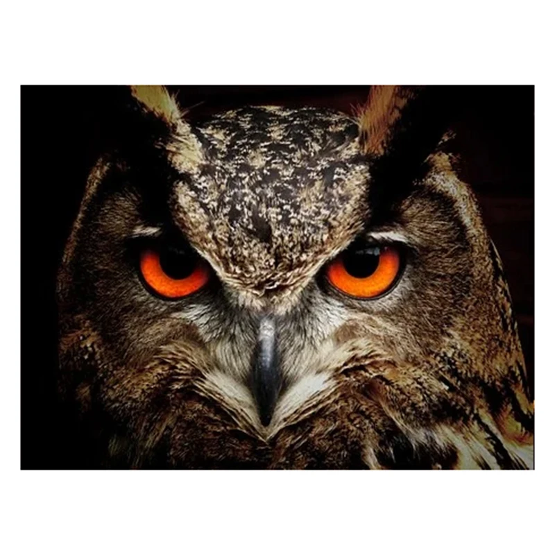 DIY 5D diamond painting ferocious owl diamond rhinestone embroidery painting art handmade animal home wall decoration gift
DIY 5D diamond painting ferocious owl diamond rhinestone embroidery painting art handmade animal home wall decoration gift