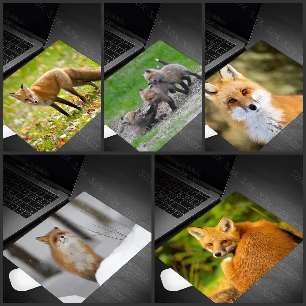 Yzuoan New Personalized Fox Mouse Pad Without Locking Edge Computer Desk Mat Cool Home Desk Mat Small Size Desk Mat Game Mat
Yzuoan New Personalized Fox Mouse Pad Without Locking Edge Computer Desk Mat Cool Home Desk Mat Small Size Desk Mat Game Mat