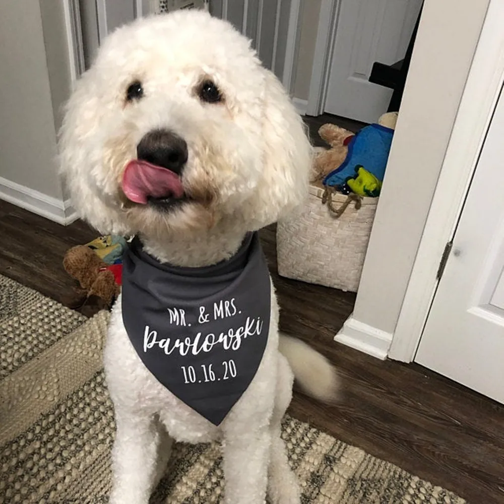 Custom Dog Bandana wedding Mr and Mrs getting married Pet sign announcement marriage bridal gift add date dog wedding attire
Custom Dog Bandana wedding Mr and Mrs getting married Pet sign announcement marriage bridal gift add date dog wedding attire