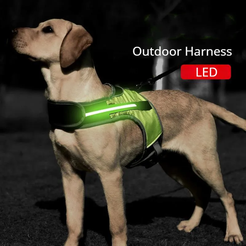 LED Luminous Dog Harness Pet Chest Harness Breathable Heat Dissipation Outdoor Night Traction Medium Large Dogs Dog Supplies
LED Luminous Dog Harness Pet Chest Harness Breathable Heat Dissipation Outdoor Night Traction Medium Large Dogs Dog Supplies