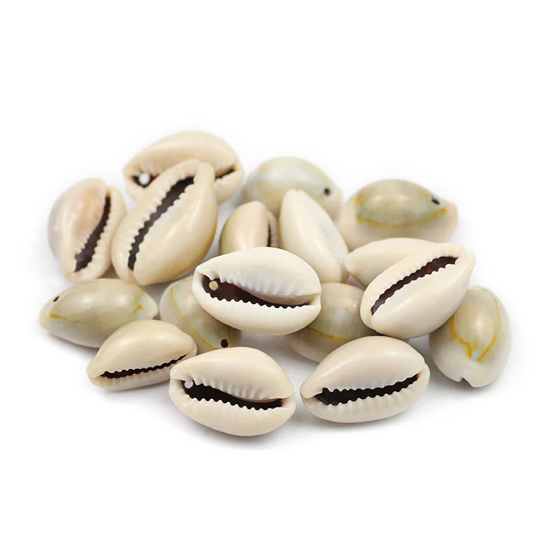 14~23mm Natural Sea Shells beads Gray Incision Shell Decoration For Jewelry Making DIY Crafts Beach Decor Ornaments Accessories
14~23mm Natural Sea Shells beads Gray Incision Shell Decoration For Jewelry Making DIY Crafts Beach Decor Ornaments Accessories