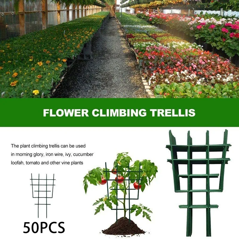 Plant Climbing Grid, 50PCS Garden Potted Plant Climbing Frame Indoor and Outdoor Climbing Plant Frame
Plant Climbing Grid, 50PCS Garden Potted Plant Climbing Frame Indoor and Outdoor Climbing Plant Frame