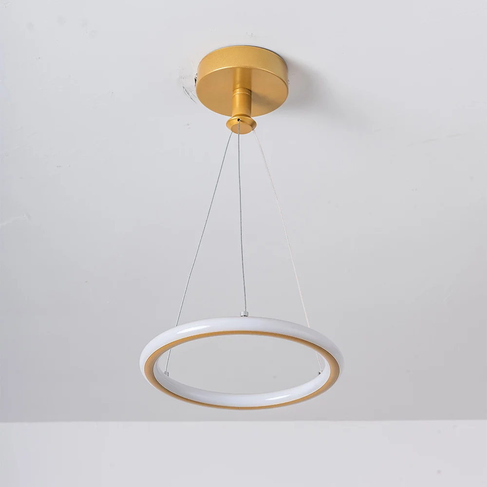 Ins Led Ceiling Lamp for Corridor Aisle Cloakroom Black Gold Ring Hanging Lights In The Hallway Balcony Home Decor Light Fixture
Ins Led Ceiling Lamp for Corridor Aisle Cloakroom Black Gold Ring Hanging Lights In The Hallway Balcony Home Decor Light Fixture